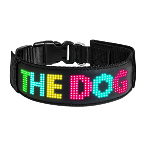 LED Collar