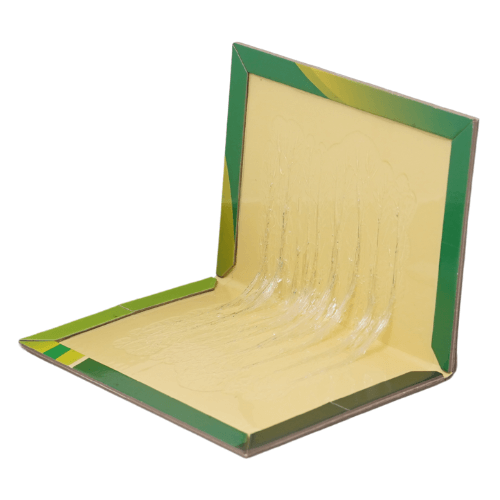 Rat & Mouse Glue Board - Pack of 10