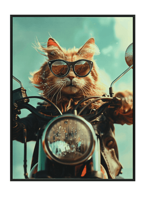 Acrylic AI Wall Art Rider Meowt
