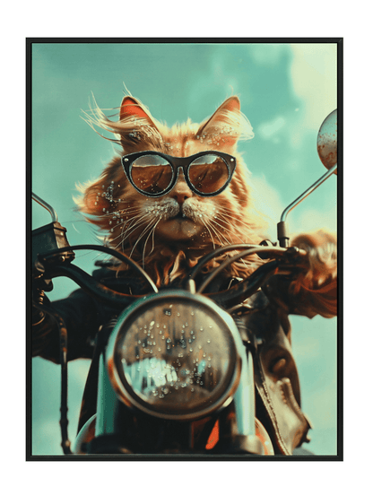 Acrylic AI Wall Art Rider Meowt