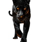 Acrylic AI Wall Art Panther's Gaze