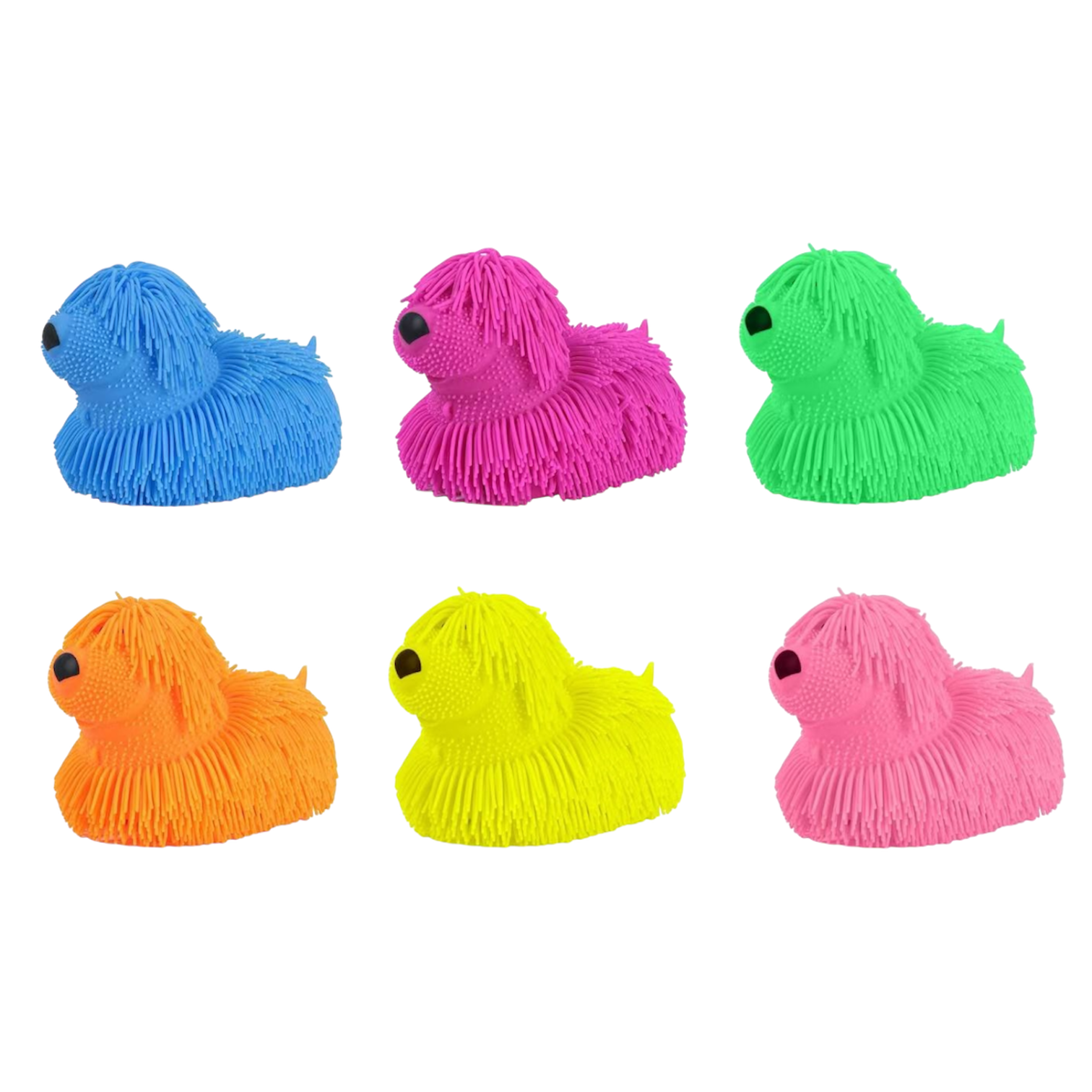 Hairy Dog Toy - Box of 6