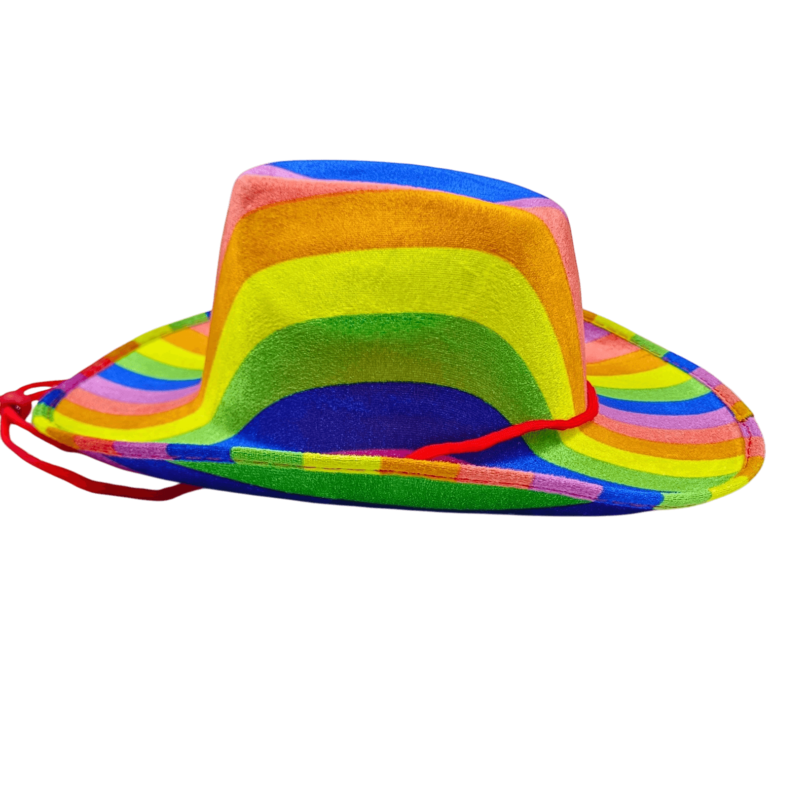 Rainbow Cowboy Hat